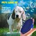 2-in-1 Rubber Dog Grooming Brush for Dogs and Cats - Blue | Short & Long Hair | Shedding & Bath Brush - Buy Online on GoSupps.com