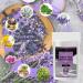 Lavender Essential Oil Dead Sea Salt - 2.43 LB Spa Bath Salt for Body Wash & Scrub - Soothes Tired Muscles & Skin Issues - 100% Natural - Buy Online on GoSupps.com