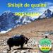 YOOKA Shilajit RESINE 30G naturelle ARTISANALE OR pure. 70% ACIDE FULVIQUE test en laboratoire garantissant +85 min raux 12% acide humique. S chage soleil 60j purifi e 40 fois. Soci t fran aise. - Buy Online on GoSupps.com