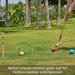 Pointyard Six Player Croquet Set - 28 Piece Set with Wooden Mallets, Colored Balls, Wickets, and Stakes - Great for Adults, Teenagers, and Families - Ideal for Lawn, Backyard, and Park - Includes Carry Bag - Buy Online on GoSupps.com