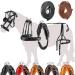 Esposita single -chip "Professional" carriage dishes for Shetty pony and horse dishes for Minishetty to XL cold blood Routing dishes for one -time shetty black
