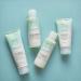 Renewing Lotion Facial Moisturizer with Aloe | Vegan & Made in the USA | International Shipping Available - Buy Online on GoSupps.com