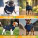 Lovpet 3XL Dog Jacket - Waterproof Winter Vest with Feces Bags Chest Strap & Reflectors | Padded Dog Coat in Navy Blue for Large Dogs - Buy Online on GoSupps.com