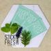 STICK'N FRESH Phytoncide Scented Patch Stickers - 4 Packs x 6 Patches | Natural Essential Oil Aroma for Face Mask, Pillow & More - Buy Online on GoSupps.com