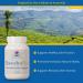 Boswelya Plus Herbal Joint & Muscle Support Supplement - 90 Vegetarian Caplets - Buy Online on GoSupps.com
