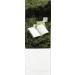 INeKE Balmy Days & Sundays 75ml / 2.5 oz eau de parfum/perfume - Buy Online on GoSupps.com