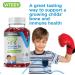 Sugar Free Vitamin D3 Gummies for Kids 25mcg 1000 IU - Bone & Immune Support - 120 Vegetarian Berry Flavored Gummies - Buy Online on GoSupps.com