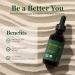 Global Healing Triple Activated B12 5000 mcg Organic Sublingual Liquid Vitamin | Energy & Metabolism Support - 2 Fl Oz - Buy Online on GoSupps.com