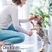 Purina Dentalife Dog Chews - Tartar Reducing Snacks for Small to Large Dogs | 6-Pack (7 Pieces) - Buy Online on GoSupps.com