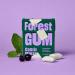 Forest Gum Cassis Mint - Plastic-Free Chewing Gum | Sugar-Free Vegan 18 Packs of 20g | Eco-Friendly Vegetable Ingredients - Buy Online on GoSupps.com
