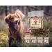 Buy Dibo Barf Treats for Dogs - 200g Wild Lamb & Duck Snacks - Sugar-Free & Healthy Training Treats - Buy Online on GoSupps.com