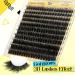ALICE Fluffy Volume Lash Clusters Natural Lash Extensions DIY Eyelash Extensions 220Pcs 3D Wispy Individual Lashes(10-16mm 0.05D D Curl) A - 3D Wispy - Buy Online on GoSupps.com