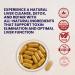 BIOFLARE Liver Support Supplement NAC & Artichoke Leaf for Liver Cleanse Detox & Repair Daily Liver Health Formula for Men & Women Non-GMO Gluten-Free 60 Vegan Capsules - Buy Online on GoSupps.com