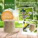 DELICIA Premium Insect Bird Balls - 6 Pack for Garden & Wild Birds | Meisen Dumplings with Hangers - High-Quality Bird Feed - Buy Online on GoSupps.com