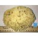 Natural Sea Wool Sponge 4-5 by Awesome Aquatics - Perfect for Bath and Shower - Buy Online on GoSupps.com