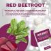 Beetroot Juice Iron Boost - Liquid Iron Supplement for Women and Men - Increase Haemoglobin & Performance - 6 x 50ml - Buy Online on GoSupps.com