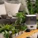 LEVOIT 6L Large Tank Top-Fill Cool Mist Humidifier for Bedroom & Baby Home - Quiet Sleep Mode, Smart App & Alexa Control - 60H Runtime - Essential Oil Diffuser - Gray - Buy Online on GoSupps.com