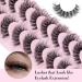 Yawamica Cat Eye 10 Pairs Pack False Eyelashes - Wispy Natural Mink Lashes Clear Band - Fluffy Russian Strip Lashes C Curl - 8-16MM - Cat Eye Design - Buy Online on GoSupps.com