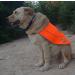Dog West Safety Reflective Hunting Waterproof Vest - Night & Day Visibility Comfort Fit XS-XXL Orange/Yellow - Buy Online on GoSupps.com