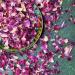 Edible 'Enchanted Forest' Pink Red and Burgundy Rose with Blue Cornflower Dried Flower Petal Mix - 50g - Food Grade - Culinary - Cake - Bake - Decoration (184) Cornflower 50g - Buy Online on GoSupps.com