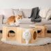 MYZOO Busy Cat Chair Plate: Dual-purpose Scratching Chair for Cats and People - Buy Online on GoSupps.com