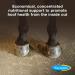 Farnam Horseshoer's Secret Pelleted Hoof Supplements | Biotin-Enhanced Formula | 3.75 lb 30-Day Supply | International Shipping Available - Buy Online on GoSupps.com
