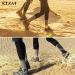RTZAT Merino Wool Hiking Crew Socks - Large | Moisture Wicking & Cushioned - Buy Online on GoSupps.com