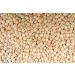 Global Choice Brown Lentils 4 Lbs - Buy Online on GoSupps.com