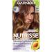 Garnier Hair Color Nutrisse Ultra Color Nourishing Creme BY1 Ultra Balayage (Icing Swirl) Blonde Permanent Hair Dye 1 Count (Packaging May Vary)