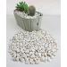 Landare 1.8kg White Pebble Stones - Decorative Gravel for Vases & Gardens (6-10 mm) - Small Decorative Stones - Buy Online on GoSupps.com