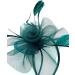 Ladies Feather Aliceband/Headband Fascinator for Weddings Races Royal Ascot Hair Piece (Green) - Buy Online on GoSupps.com