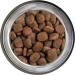 Belcando Adult Active Dog Food 12.5 kg - Dry Food for Active & Sports Dogs | Sole Feed for Adults 1+ Year - Buy Online on GoSupps.com