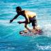 Zap Skimboards C-Series M5 48 Skimboard - Assorted Colors - E-Glass Wrap - TuffCoat Gloss Finish - Buy Online on GoSupps.com