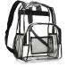 Amazon Basics School Backpack, Clear, School Backpack