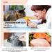 Inaba Churu Pops Cat Treats - Delicious Handheld Licking Snacks - 12-Pack Chicken (60g each) - Ideal Cat Leckerli - Buy Online on GoSupps.com