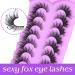 ALICE F001 False Eyelashes 20mm 7 Pairs Pack - Mink Fluffy Fox Eye Lashes for Wispy Dramatic Fairy Cat Eye Look - Buy Online on GoSupps.com