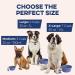 Bonza Extra Large Foldable Dog Bowl | Portable & Leak-Proof for Medium to Large Pets - Premium Travel Bowl in Navy Blue - Buy Online on GoSupps.com