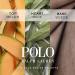 RALPH LAUREN FRAGRANCES Polo Blue Men's Deodorant - Citrus Fresh - 2.6 Oz. - Buy Online on GoSupps.com