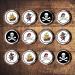 PRECUT Pirate Edible Cupcake Toppers - Pirates Theme Premium Thickness SWEETENED VANILLA - wafer card disc cake decorations (24) - Buy Online on GoSupps.com