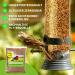 Premium 2kg Dried Mealworms - High Protein Pet Food for Reptiles Birds Hedgehogs Fish & Turtles - International Shipping Available - Buy Online on GoSupps.com