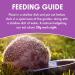Spike's | Hedgehog Food Tasty Semi-Moist | Nutritious with Fresh Chicken | Made in the UK (1.3kg) - Buy Online on GoSupps.com