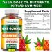 Hempbridge Hemp Gummies - 2 Pack - USA Made Omega 3 Supplement for Pain Relief - 60 Count Gummies with Vitamins B & E - Max Value Formula - Buy Online on GoSupps.com
