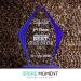 Spare Moment Cold Brew Coarse Ground Coffee Bean - 2019 1st Place Winner - Medium Roast Cold Brew Blend, 100% Arabica - 12oz Bag - Brooklyn Small Batch Roast - Buy Online on GoSupps.com