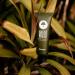 ROOTS AROMATHERAPY Eucalyptus Tea Amenity Kit - Travel Size Bulk Pack for Hotels, Motels, and Lodging - Buy Online on GoSupps.com
