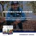 Host Defense Bundle with Lion's Mane Capsules 120 Count & MyCommunity Capsules 30 Count - Support Brain Health Memory & Focus - Support Immune Health with 17 Species Mushroom Blend* - Buy Online on GoSupps.com