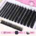 ALPHONSE Fluffy Lash Extension Kit - 80D DIY Mink Eyelash Extensions (260pcs) with Bond Seal & Applicator - Perfect for Stunning Fluffy Lashes - Buy Online on GoSupps.com