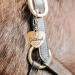 Soulhorse Exclusive Lucky Charm Bridle Trailer Guardian Angel - Premium Horse Gear for Horses Ponies & Dogs - Buy Online on GoSupps.com