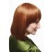 WIG ME UP 2303-30 Ladies Short Layered Bob Wig - Dark Red Blonde | International Shipping Available - Buy Online on GoSupps.com