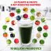 Get Your Greens Super Greens Powder - 10 Green Juice Blend, 8 Antioxidants, 6 Enzymes, 10B Probiotics - Delicious & Easy to Mix - Non-GMO & Sugar Free - Buy Online on GoSupps.com