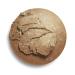 Makeup Revolution Bronzer Reloaded 0.53 oz - Dark Skin Tones | Cruelty-Free Highlighting & Bronzing Powder - Buy Online on GoSupps.com